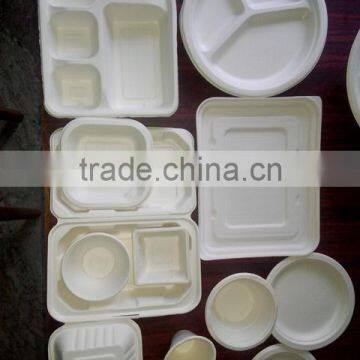 Food Containers and Plates