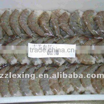 frozen vannamei white shrimp