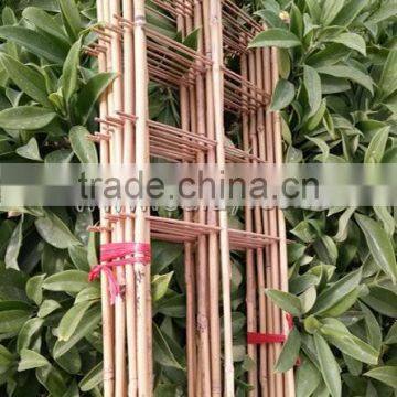 Factory Direct Sale Bamboo Cane Trellis /holding Bamboo Trellis/make Bamboo Garden Trellis photo-2