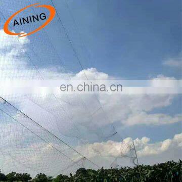 Agricultural invisible bird protection netting to hunt birds