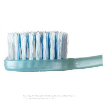 Disposable Toothbrush With Toothpaste Individually Wrapped 10pack