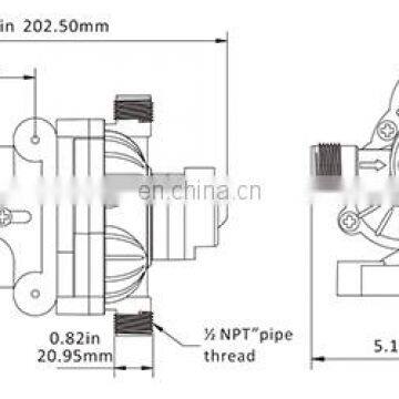 SEAFLO 12V DC 3GPM 45PSI Water Pump Company For Water Treatment System photo-7