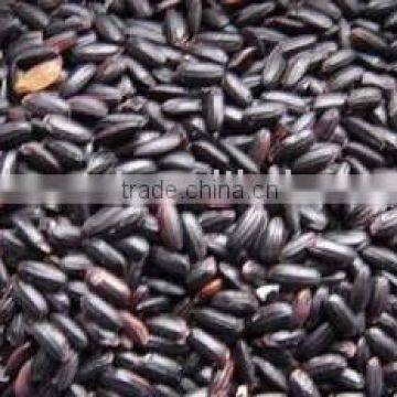 Black rice P.E./ Oryza satiua/ black kerneled rice extract/ CAS NO.: 528-58-5