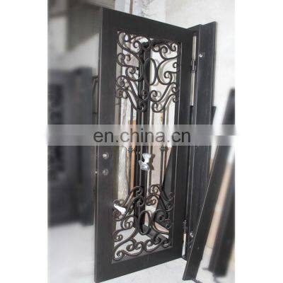 Modern Double Glass Wrought Iron Door photo-5