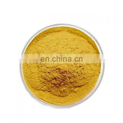 Bacopa Monnieri Extract Powder 20% - 50% Bacosides UV HPLC