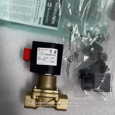 8254200.9151.024.00,Buschjost,Solenoid Valve,G1/2'Thread