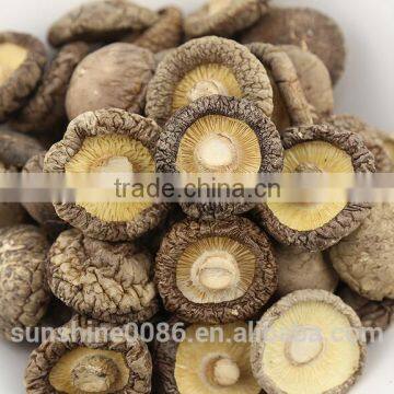 High Quality Dried Shiitake Mushroom extract prices for shiitake