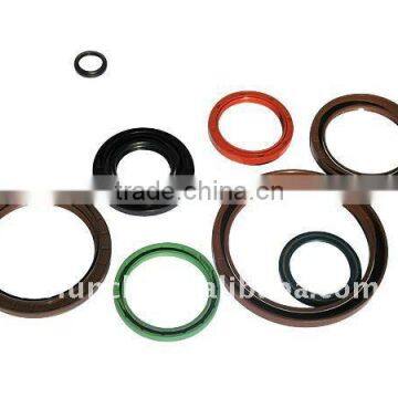 Various Oil Seals used for Heavy Duty