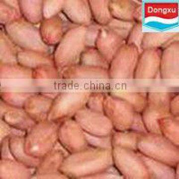 Shandong Peanut 28/32