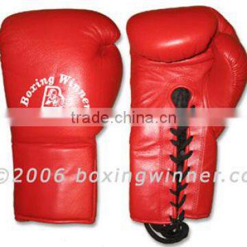 Professional Fight Gloves