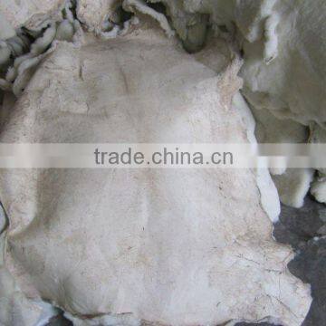 Types of sheep skin from tannery(henan province)