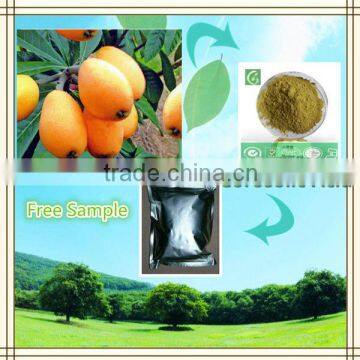 pure natural banaba leaf extract powder, loquat leaf extract corosolic acid 10%