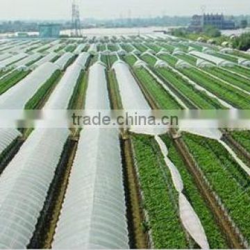 Free sample PE plastic greenhouse film with high quality and own factory