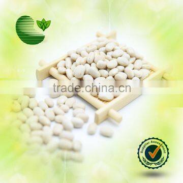 White Kidney Beans (Japanese Type)