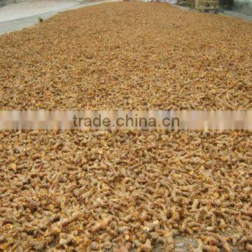 Chinese Spices of Galangal White Poly Bag