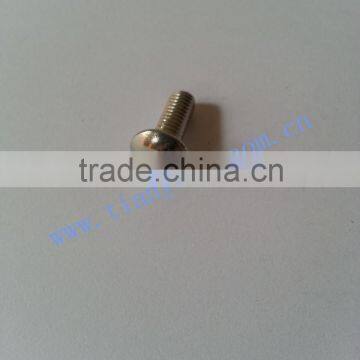 stainless steel safety screw