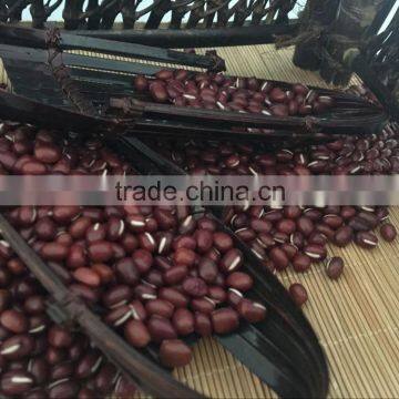 Chinese Adzuki Beans for Europ photo-3