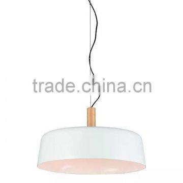 Hanging Decorative Led Lights Fixture