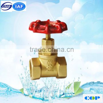 100PSI shut off valve ASME 3/4'' threaded globe valve