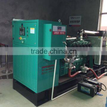 Yidaneng Power Silent Natural Gas Electric Power Generator