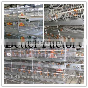 BT Factory hot-sale commercial broiler chicken cages for chiken poultry farm In Negria