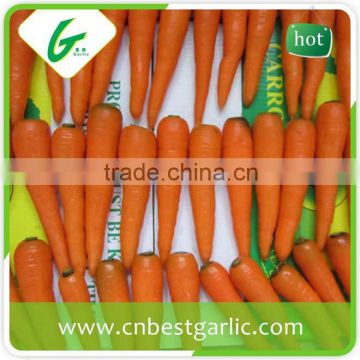 Specifications of fresh bulk carrot