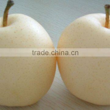 Chinese fresh crown pear export for wholesale