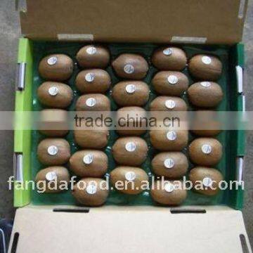 new crop kiwi fruits