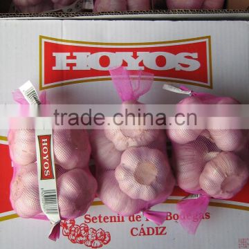 6.5CM up normal white garlic