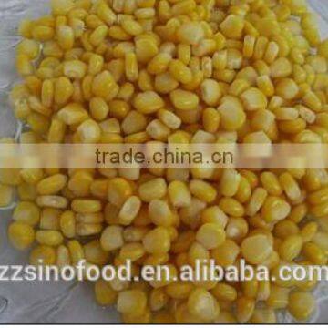 Young Canned Sweet Kerenl Corn with Good Taste Wholesale Canned Food