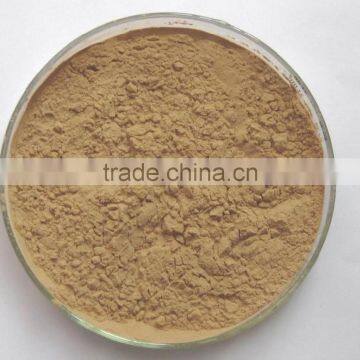 High Quality Schisandrins 2%-9% Schisandra Chinensis Extract photo-3
