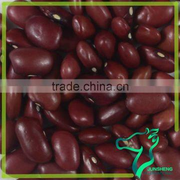 Health Food Natural Low Price Small Red Kidney Beans For Sprouting photo-5