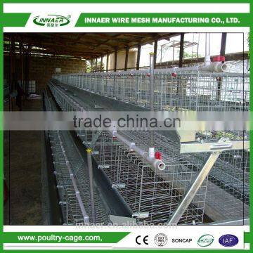 Hot Sale for China Egg Chicken Cage(ISO9001) for Poultry Farming photo-6
