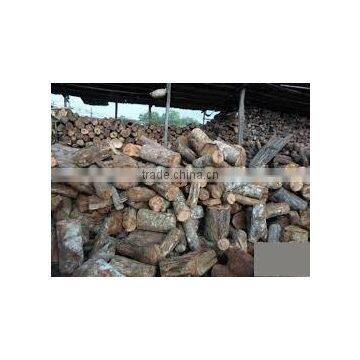 Attractive Price Rubber Firewood