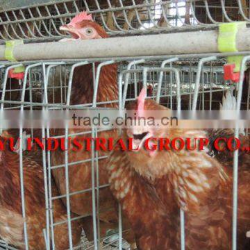 TAIYU Nipple Drinkers for Poultry in Nigeria