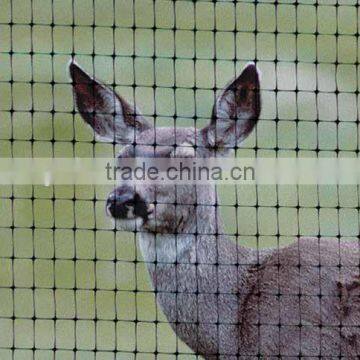 Pp/hdpe Anti Bird Net Bug Deer Netting With UV Resistant for Garden photo-3