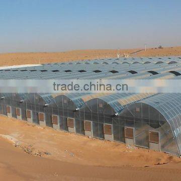 Commercial Greenhouses photo-2