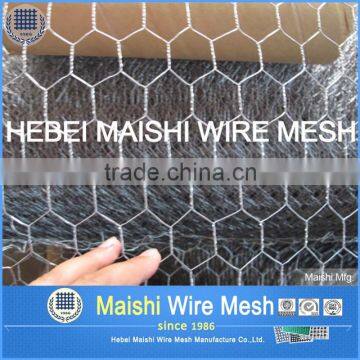 Bird wire mesh hexagonal weaved wire netting