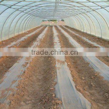 low cost greenhouse tunnel greenhouse single span greenhouse