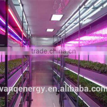 20W Led Grow Light Tube Vertical Farming Hydroponic/aquaponics Tomato Led Light photo-2