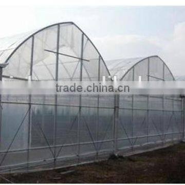 Simple Low Cost Tunnel Greenhouse for Vegetable photo-2