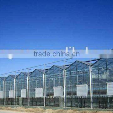 Glass Greenhouse-8 photo-4