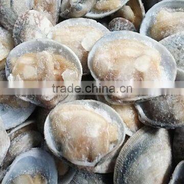 Boiled Baby Clam Nature Fresh FAO61