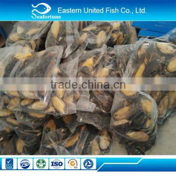 seafood export frozen Mussel Shell Wreaths