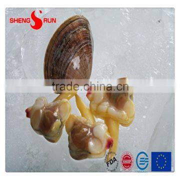 Frozen IQF Surf Clam Meat Gutted
