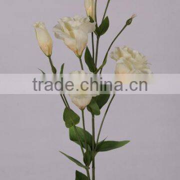 stable supplying hawaiian variegate color purchase artificial camellia flower