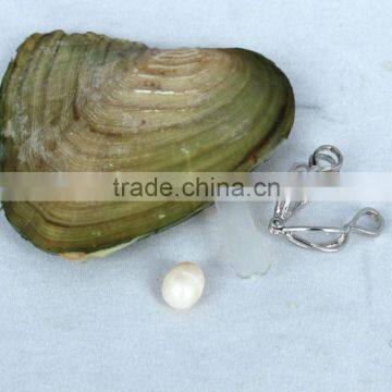 (February) Pisces Wish Pearl Gift (English Version) photo-6