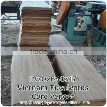 CORE VENEER FOR PLYWOOD