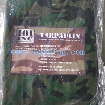 Waterproof pe Coated Fabric Tarpaulin Sheet Cover photo-2
