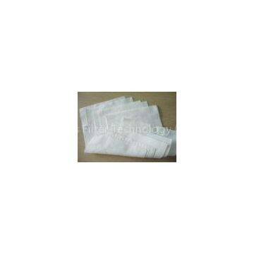 Industry PP / PA / PE Polyester Filter Cloth Micron Woven Filter Fabric